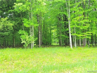 Build your dream home or private mountain retreat on this - photo 3