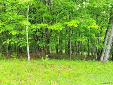 Build your dream home or private mountain retreat on this - photo 4