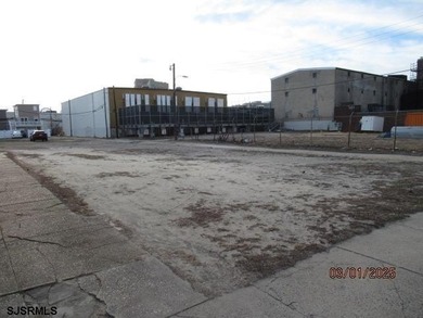 Prime 25x95 lot located in the heart of the vibrant Central - photo 1