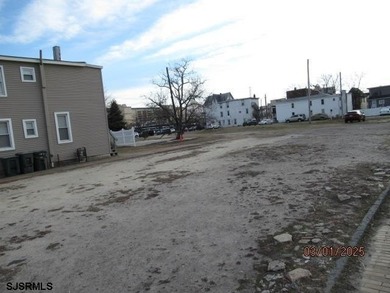 Prime 25x95 lot located in the heart of the vibrant Central - photo 5