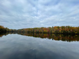 Noseeum Lake Parcel - Lake Lot For Sale in Phelps, Wisconsin