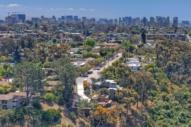 Perched at the very end of Falcon St in the prime San Diego - photo 11