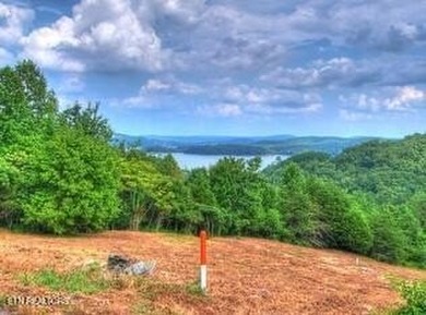 Best buy around! This 3.2 acre lot is situated on an elevated - photo 4