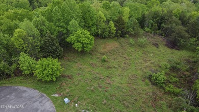 Best buy around! This 3.2 acre lot is situated on an elevated - photo 10