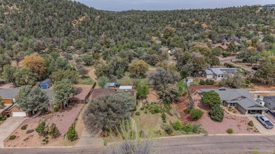 This beautiful, updated home backs to National Forest, sits on a - photo 6