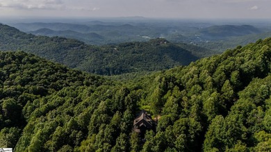 Welcome to Hodge Podge Lodge, a true family mountain retreat set - photo 47