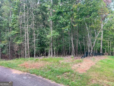 Lake Lot For Sale in Murrayville, Georgia