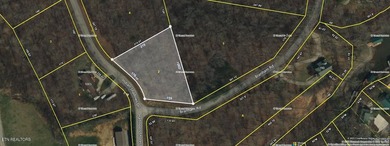 Lake Access & no HOA fees! Over 3/4 acre and close to marinas - photo 1