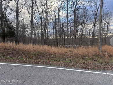 Lake Access & no HOA fees! Over 3/4 acre and close to marinas - photo 3