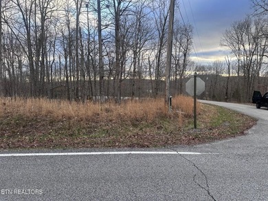 Lake Access & no HOA fees! Over 3/4 acre and close to marinas - photo 4