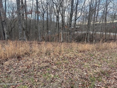 Lake Access & no HOA fees! Over 3/4 acre and close to marinas - photo 5