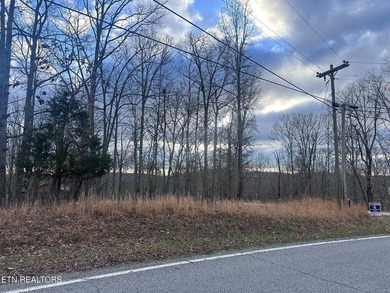 Lake Access & no HOA fees! Over 3/4 acre and close to marinas - photo 6