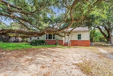 Welcome to 1505 Palmetto Drive - featuring what just might be