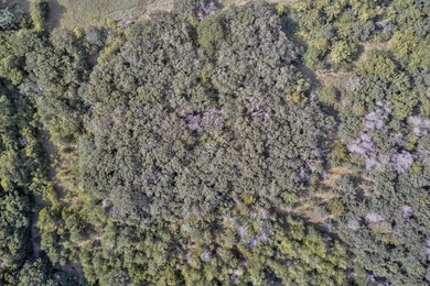 Prime opportunity in the heart of Corinth! This 4.179-acre - photo 14