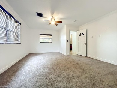 OVER 5 ACRES, RIGHT IN THE HEART OF ORLANDO, WITH MULTIPLE - photo 20
