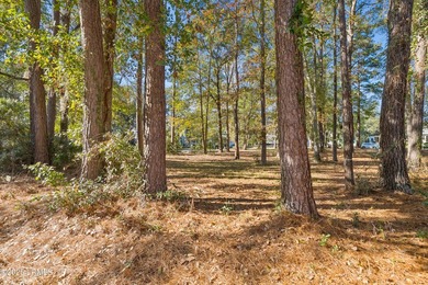An extraordinary opportunity to design and build your custom - photo 6