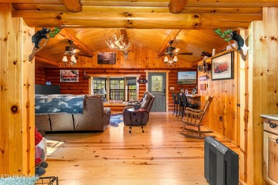 **Fiber Optic Now Available!** Beautifully renovated true log - photo 14
