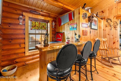 **Fiber Optic Now Available!** Beautifully renovated true log - photo 16