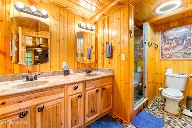 **Fiber Optic Now Available!** Beautifully renovated true log - photo 20