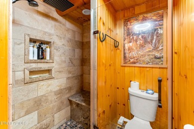 **Fiber Optic Now Available!** Beautifully renovated true log - photo 21