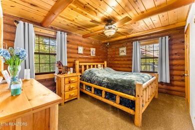 **Fiber Optic Now Available!** Beautifully renovated true log - photo 22