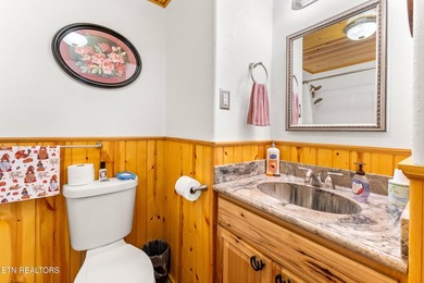 **Fiber Optic Now Available!** Beautifully renovated true log - photo 24