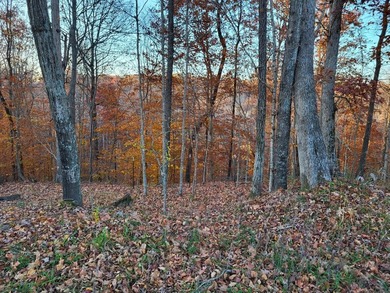 Single Continuous Tract | 0.5 Miles of Barren River Frontage | - photo 33