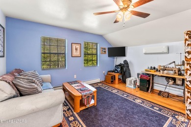**Fiber Optic Now Available!** Beautifully renovated true log - photo 37