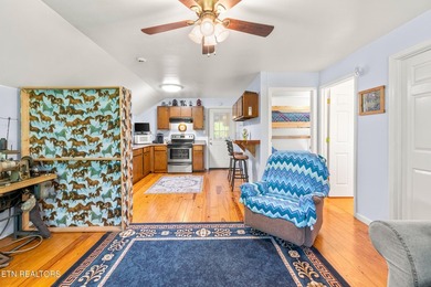 **Fiber Optic Now Available!** Beautifully renovated true log - photo 38