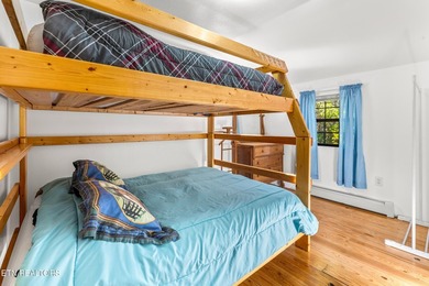 **Fiber Optic Now Available!** Beautifully renovated true log - photo 41