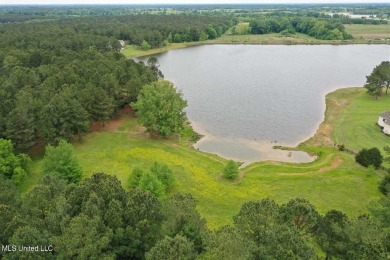 (private lake, pond, creek) Acreage For Sale in Flora Mississippi