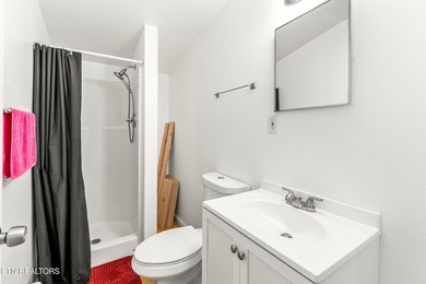 **Fiber Optic Now Available!** Beautifully renovated true log - photo 42