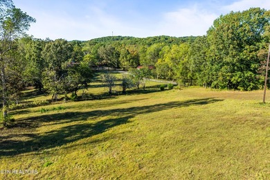 **Fiber Optic Now Available!** Beautifully renovated true log - photo 46