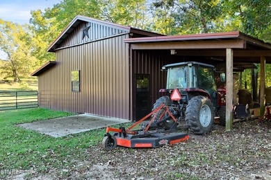 **Fiber Optic Now Available!** Beautifully renovated true log - photo 47