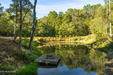 **Fiber Optic Now Available!** Beautifully renovated true log - photo 49