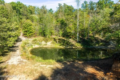 **Fiber Optic Now Available!** Beautifully renovated true log - photo 50