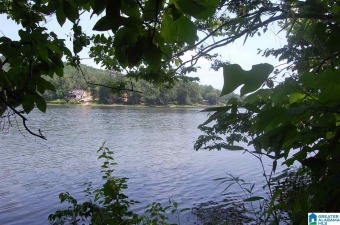 Lake Mitchell Acreage For Sale in Verbena Alabama