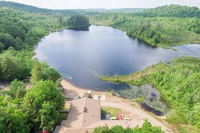 Nestled within the Adirondack Park, this secluded Adirondack - photo 3