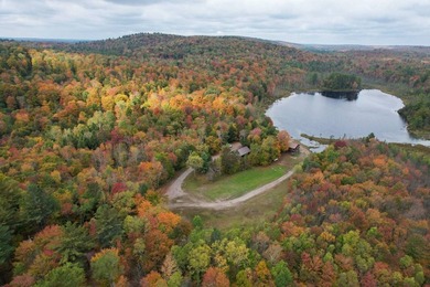 Nestled within the Adirondack Park, this secluded Adirondack - photo 4