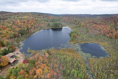 Nestled within the Adirondack Park, this secluded Adirondack - photo 5