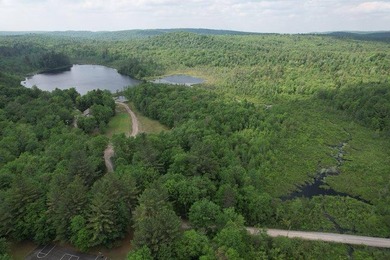 Nestled within the Adirondack Park, this secluded Adirondack - photo 8