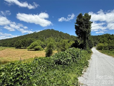 This 651 +- acre tract in the foothills of Rutherford County - photo 1