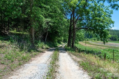 This 651 +- acre tract in the foothills of Rutherford County - photo 5