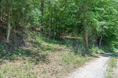 This 651 +- acre tract in the foothills of Rutherford County - photo 6