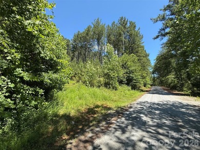This 651 +- acre tract in the foothills of Rutherford County - photo 7