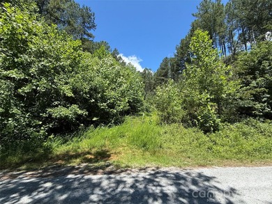 This 651 +- acre tract in the foothills of Rutherford County - photo 8