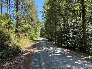 This 651 +- acre tract in the foothills of Rutherford County - photo 9