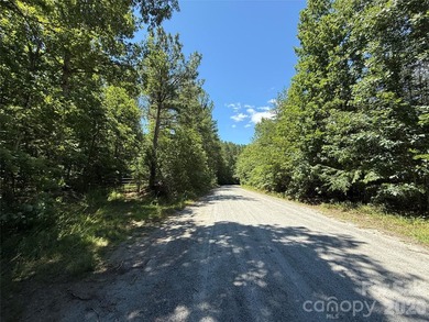 This 651 +- acre tract in the foothills of Rutherford County - photo 10