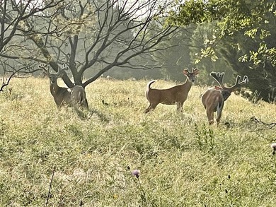 VIP Open Ranch Event - Nov 18th, RSVP Required. Lake Godstone is - photo 12