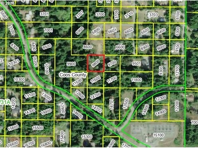 FORESTED .62 ACRE. Map shows 2 creeks! Road not in. Developed - photo 3